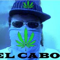 gust_gabo